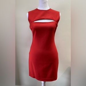 Elizabeth and James bodycon fitted dress